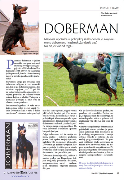 Agrobiznis magazin 73 doberman strana 53