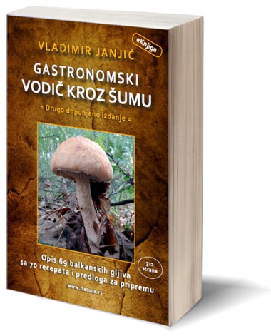 Gastronomski vodic kroz sumu 3D Book Cover