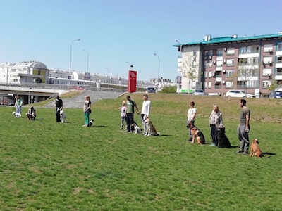 Kurs F