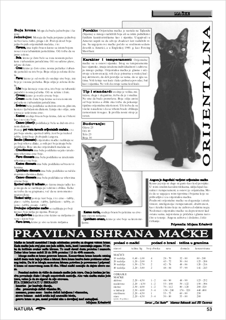 NATURA 19 str 53 Orijentalna macka