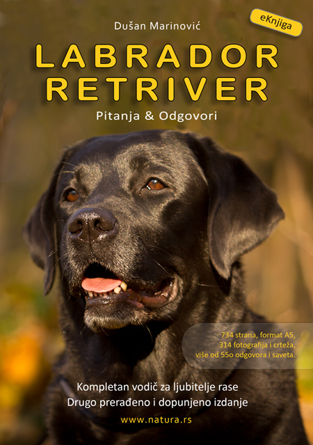 Naslovna Drugo izdanje Labrador Retriver za Net