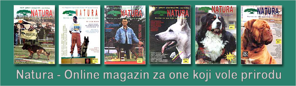 Natura digitalna izdanja