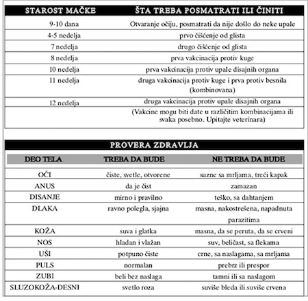 TABELA 1 I 2