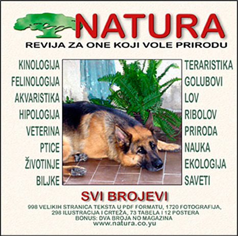 NATURA - SVI BROJEVI u digitalnom formatu, Mob/Viber: +38163254738