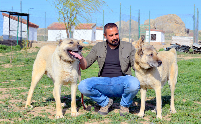 kangal 27 Umit Tasdelan i njegovi kangali