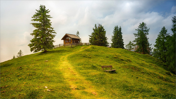planinski turizam 01 drvo brdo planina