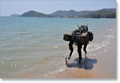 alfadog1