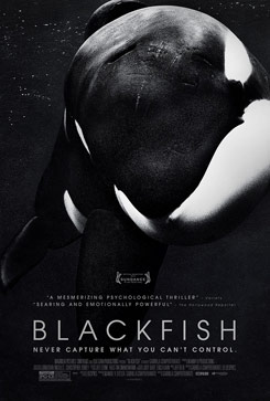 blackfish-poster