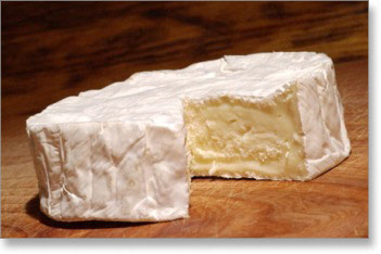 camembert02