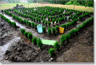 Zeleni lavirint formiran je od 400 sadnica doguvečnog šimšira (Buxus sempervirens)