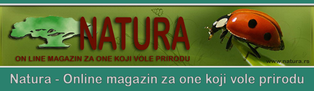 Online magazin za one koji vole prirodu