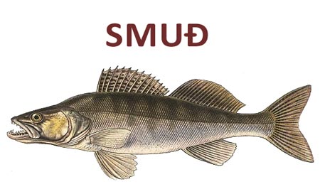 smudj-naslovna