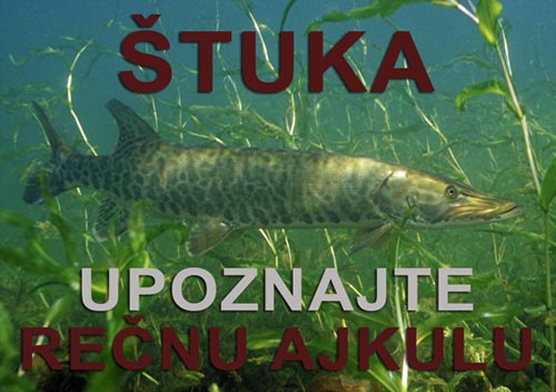 stuka_naslovna